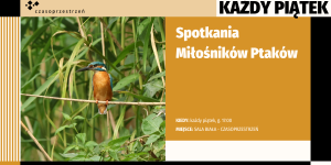 Grafika informująca o wydarzeniu. napis "spotkania miłośników ptaków, kiedy> każdy piątek godz. 17:00, miejsce: sala biała, czasoprzestrzeń". grafika w kolorach miodowych, białym, czarnym oraz zdjęcie miodowo-niebiesko-białego ptaka w trzcinie.